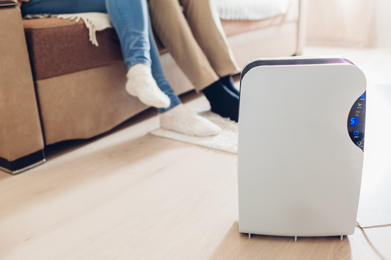 What Does a Dehumidifier Do For Your Home McMillin Air